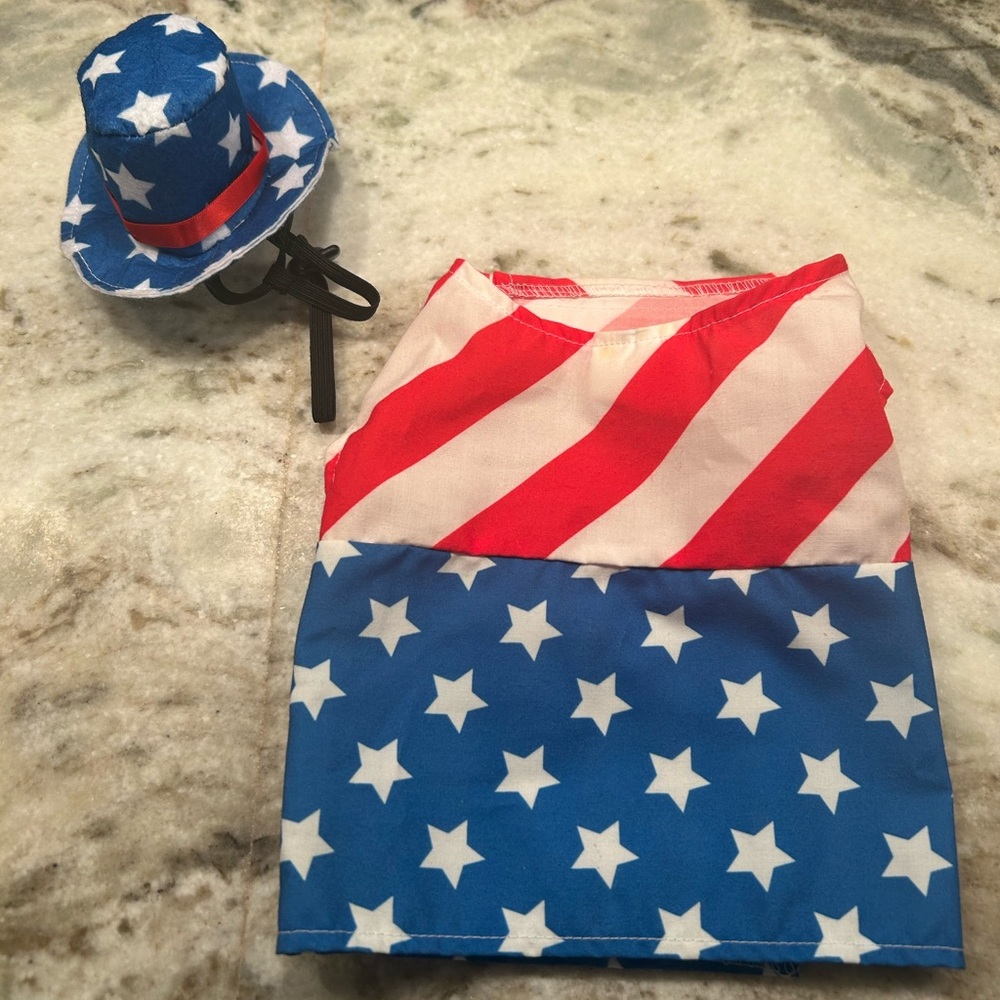 Patriotic Dog Hat and Shirt Set